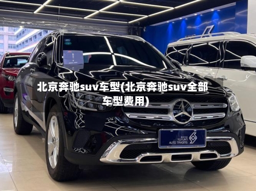 北京奔驰suv车型(北京奔驰suv全部车型费用)-第2张图片