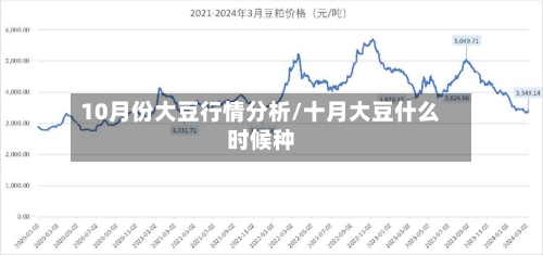 10月份大豆行情分析/十月大豆什么时候种-第3张图片