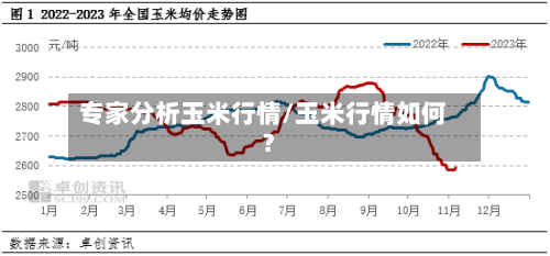 专家分析玉米行情/玉米行情如何?-第2张图片