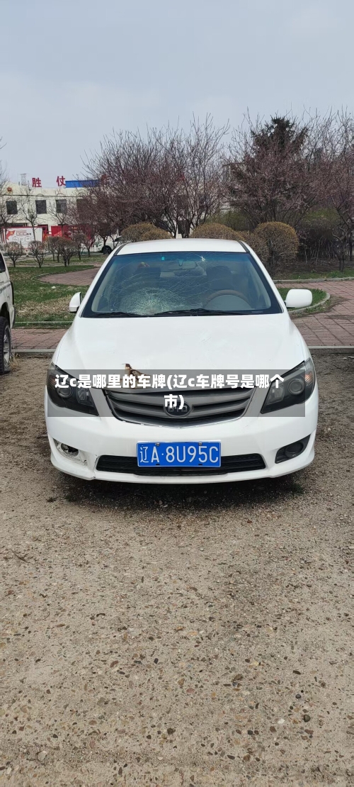 辽c是哪里的车牌(辽c车牌号是哪个市)