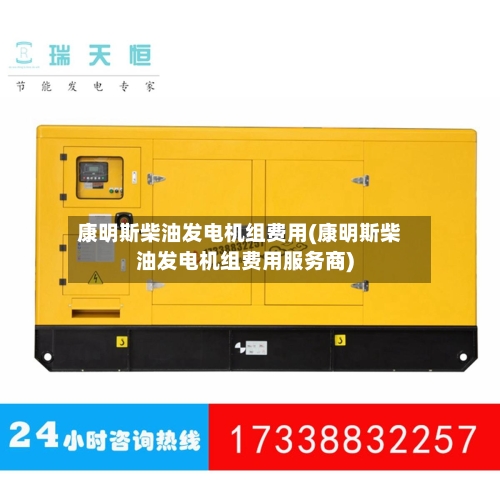 康明斯柴油发电机组费用(康明斯柴油发电机组费用服务商)