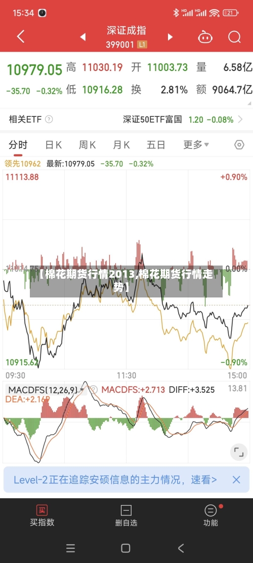【棉花期货行情2013,棉花期货行情走势】-第2张图片