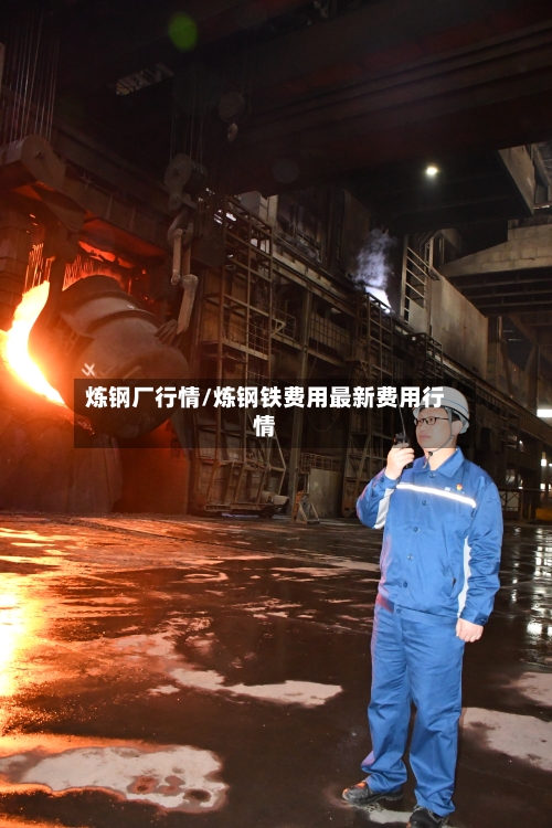 炼钢厂行情/炼钢铁费用最新费用行情-第3张图片