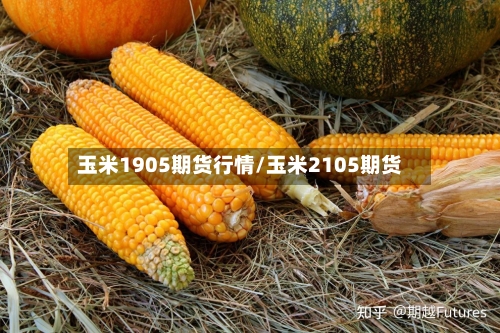 玉米1905期货行情/玉米2105期货