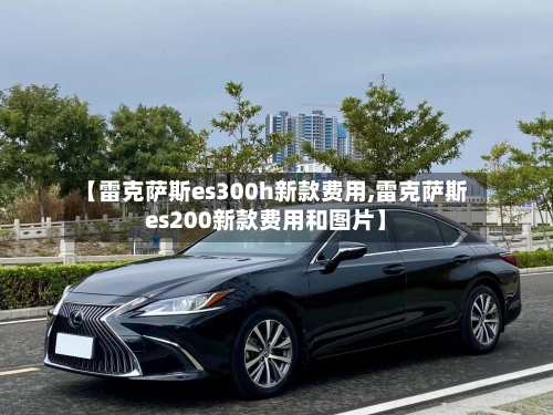 【雷克萨斯es300h新款费用,雷克萨斯es200新款费用和图片】-第2张图片