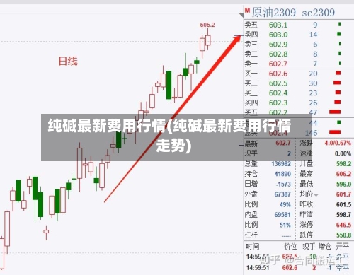 纯碱最新费用行情(纯碱最新费用行情走势)