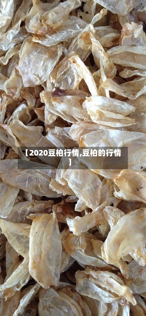 【2020豆柏行情,豆柏的行情】