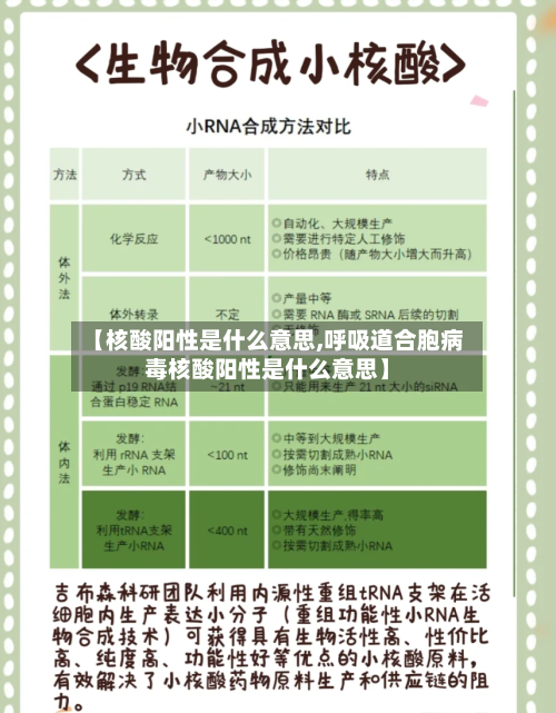 【核酸阳性是什么意思,呼吸道合胞病毒核酸阳性是什么意思】