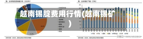 越南锡腚费用行情(越南锡矿)