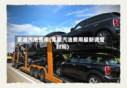芜湖汽油费用(芜湖汽油费用最新调整时间)