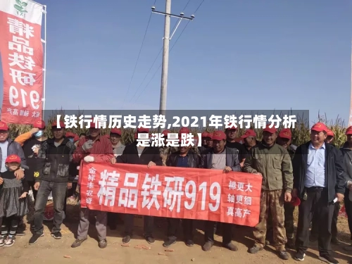 【铁行情历史走势,2021年铁行情分析是涨是跌】