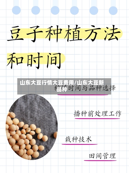 山东大豆行情大豆费用/山东大豆新品种-第2张图片