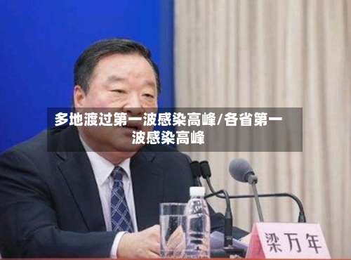 多地渡过第一波感染高峰/各省第一波感染高峰-第2张图片
