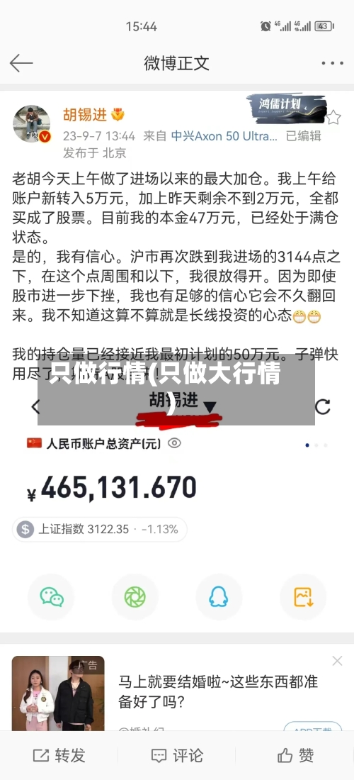 只做行情(只做大行情)