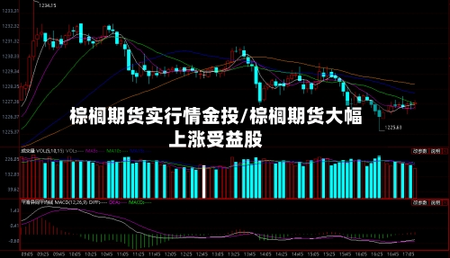 棕榈期货实行情金投/棕榈期货大幅上涨受益股-第3张图片
