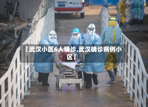 【武汉小区6人确诊,武汉确诊病例小区】-第2张图片