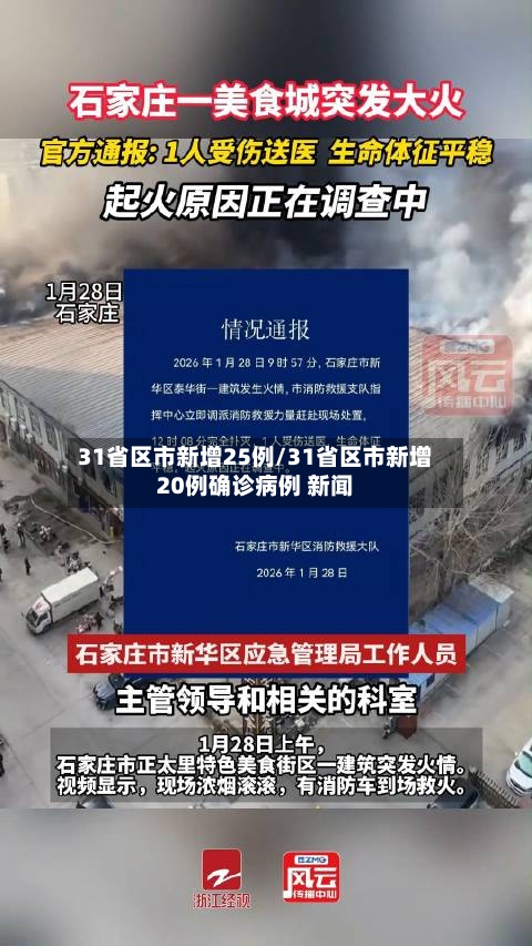 31省区市新增25例/31省区市新增20例确诊病例 新闻