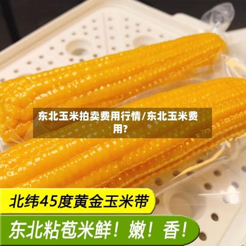 东北玉米拍卖费用行情/东北玉米费用?-第3张图片