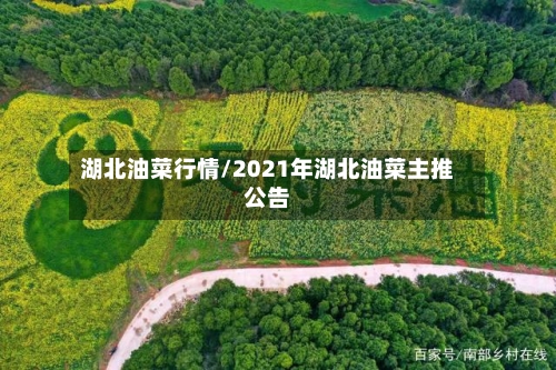 湖北油菜行情/2021年湖北油菜主推公告