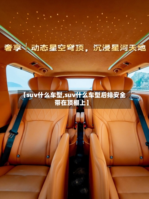 【suv什么车型,suv什么车型后排安全带在顶棚上】