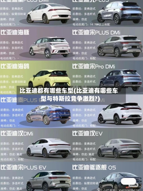 比亚迪都有哪些车型(比亚迪有哪些车型与特斯拉竞争激烈?)-第2张图片