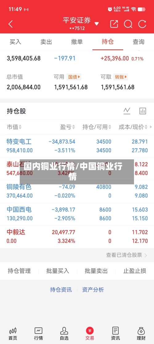 国内铜业行情/中国铜业行情-第2张图片
