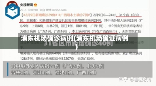 浦东机场确诊病例(浦东机场确证病例)-第2张图片