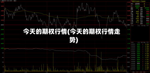 今天的期权行情(今天的期权行情走势)-第2张图片