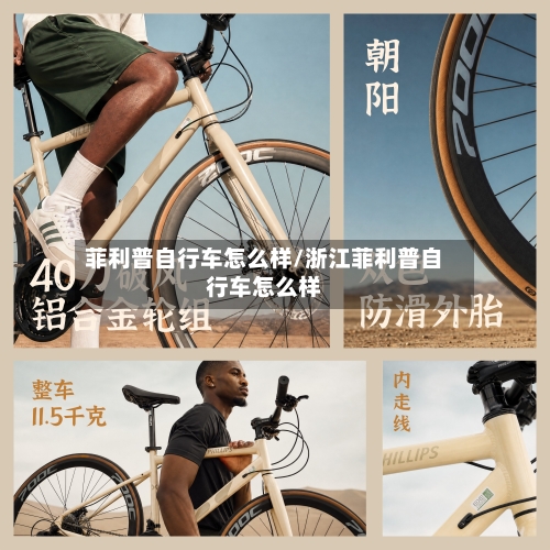 菲利普自行车怎么样/浙江菲利普自行车怎么样-第2张图片