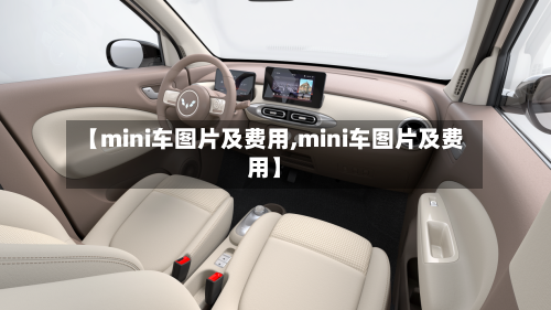 【mini车图片及费用,mini车图片及费用】-第3张图片