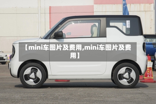 【mini车图片及费用,mini车图片及费用】