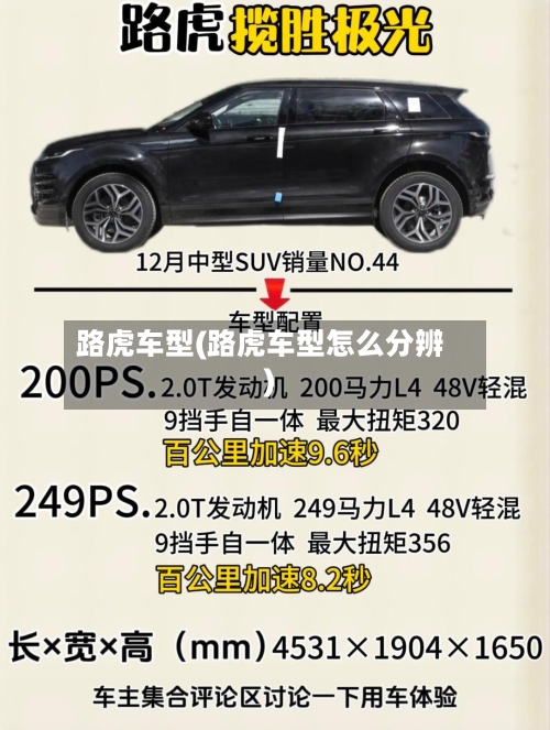路虎车型(路虎车型怎么分辨)