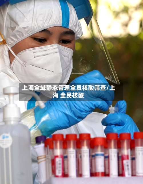 上海全域静态管理全员核酸筛查/上海 全民核酸