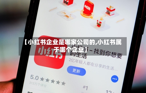 【小红书企业是哪家公司的,小红书属于哪个企业】-第2张图片