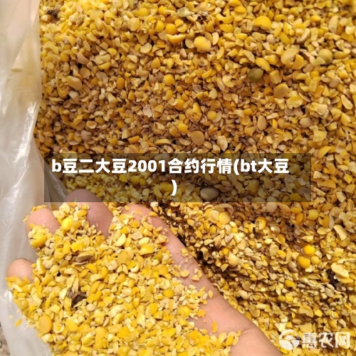 b豆二大豆2001合约行情(bt大豆)