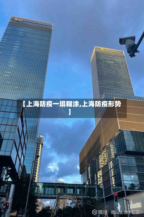 【上海防疫一塌糊涂,上海防疫形势】-第2张图片