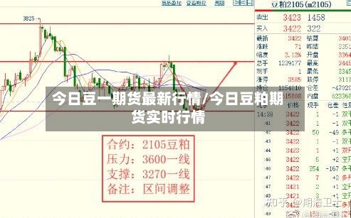 今日豆一期货最新行情/今日豆粕期货实时行情