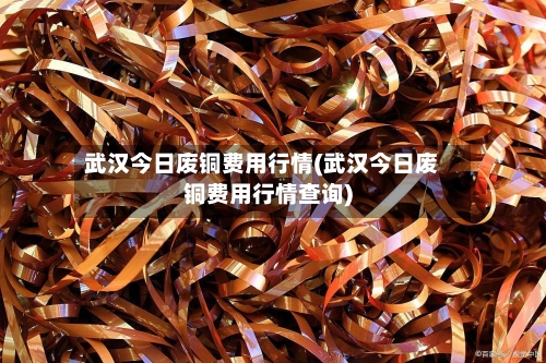 武汉今日废铜费用行情(武汉今日废铜费用行情查询)