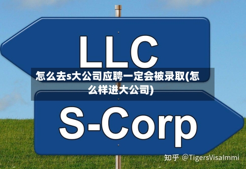 怎么去s大公司应聘一定会被录取(怎么样进大公司)