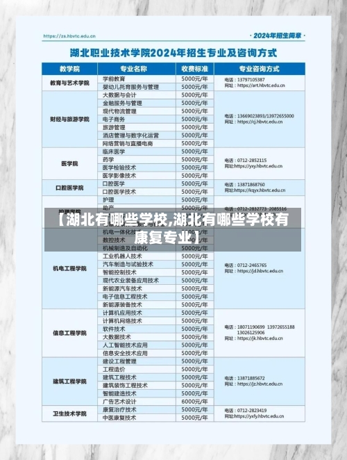 【湖北有哪些学校,湖北有哪些学校有康复专业】