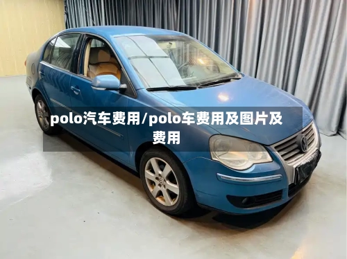 polo汽车费用/polo车费用及图片及费用-第2张图片