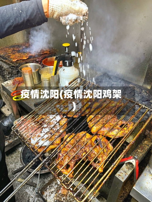 疫情沈阳(疫情沈阳鸡架)
