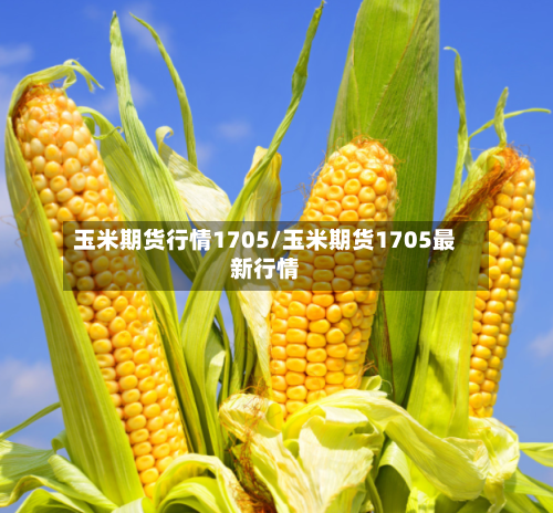 玉米期货行情1705/玉米期货1705最新行情