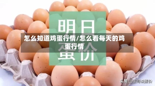 怎么知道鸡蛋行情/怎么看每天的鸡蛋行情
