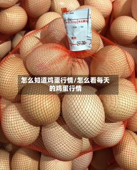 怎么知道鸡蛋行情/怎么看每天的鸡蛋行情-第2张图片