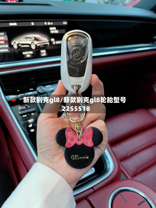 新款别克gl8/新款别克gl8轮胎型号2255518