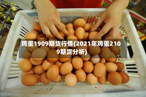 鸡蛋1909期货行情(2021年鸡蛋2109期货分析)-第3张图片