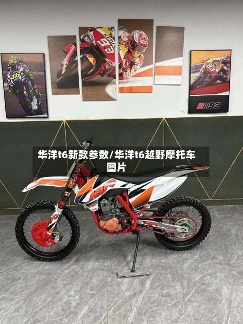 华洋t6新款参数/华洋t6越野摩托车图片
