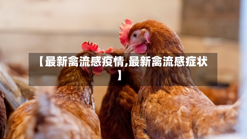 【最新禽流感疫情,最新禽流感症状】