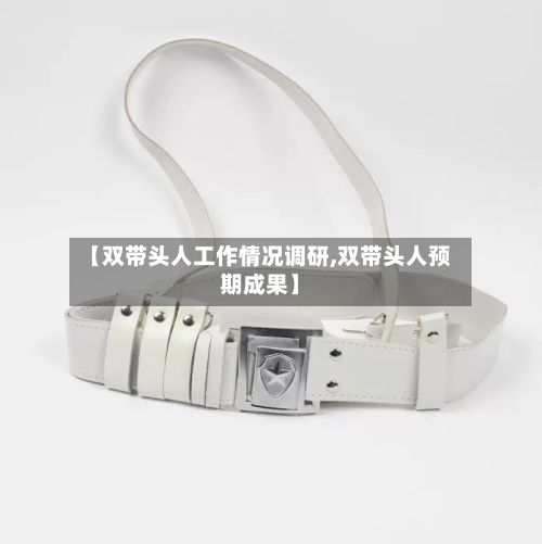 【双带头人工作情况调研,双带头人预期成果】